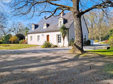 achat maison 9 pièces 170m² loire authion 49140