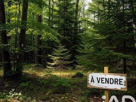 vente terrain à arsac (33460) : à vendre / 12875m² arsac