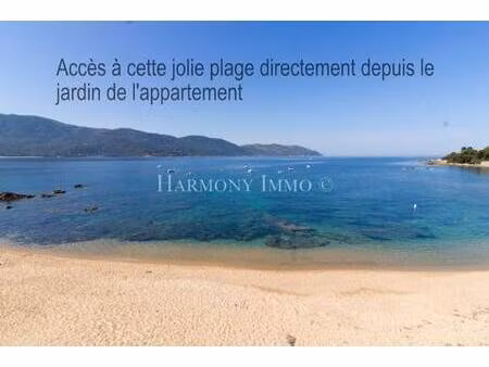 laurent morel mariani harmony immo