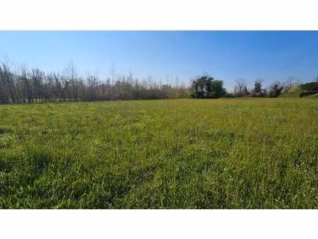 terrain constructible viabilisé à vendre