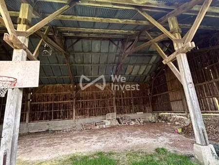 we invest irène de boisseson