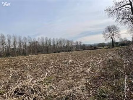 terrain à vendre