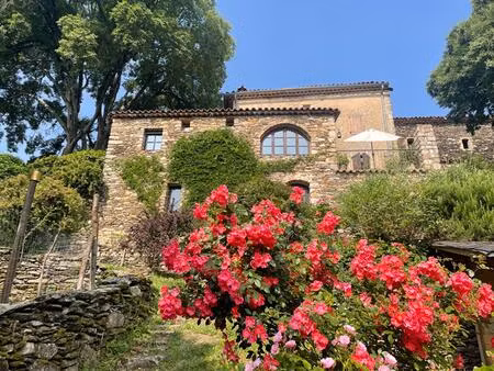 vente maison 7 pièces 250 m² anduze (30140)