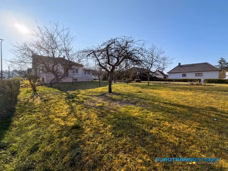 vente terrain 499 m² reichshoffen (67110)