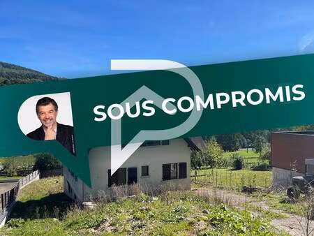 stephane plaza immobilier colmar -sud