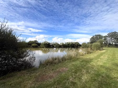 vente terrain à cholet (49300) : à vendre / 12539m² cholet