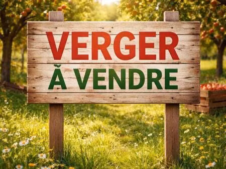 terrain à vendre