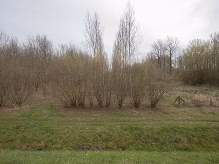 terrain à vendre à zandbergen € 25.000 (lmnnk) - sofie haegeman | zimmo