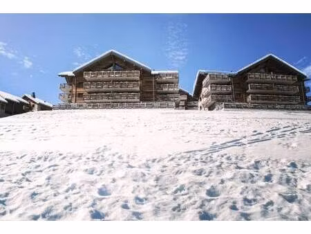 mountain collection immobilier