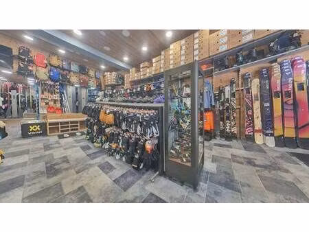 mountain collection immobilier