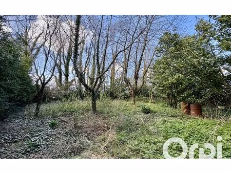 terrain coulogne m² t- à vendre  18 500 €