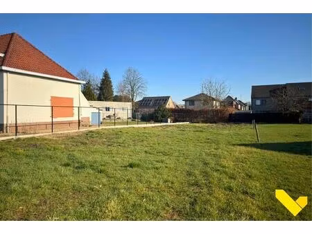 grond te koop in tessenderlo-ham