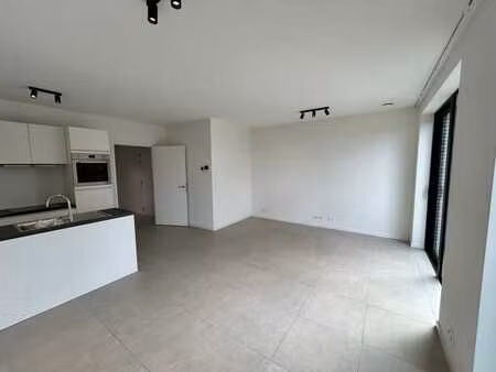 appartement 1 chambre à louer