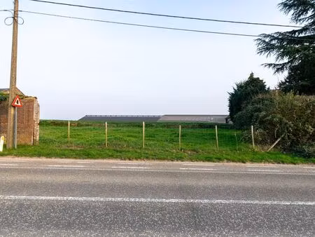 terrain à vendre à oorbeek € 185.000 (lmo4i) | zimmo