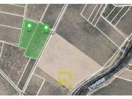 terrain champêtre/forestier à vendre