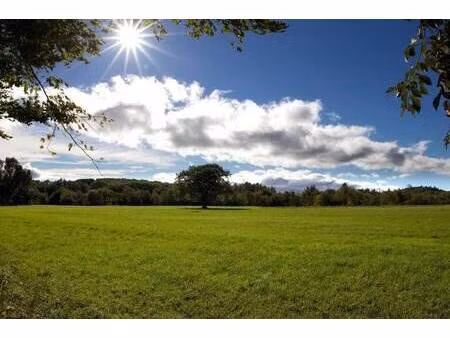 terrain constructible à vendre