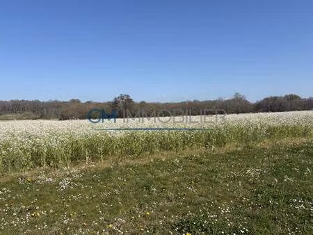 terrain constructible viabilisé à vendre