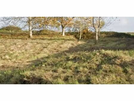 terrain constructible à vendre