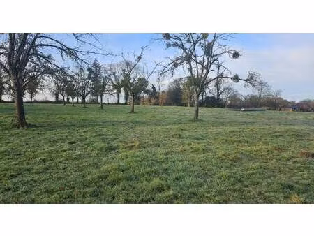 terrain constructible à vendre