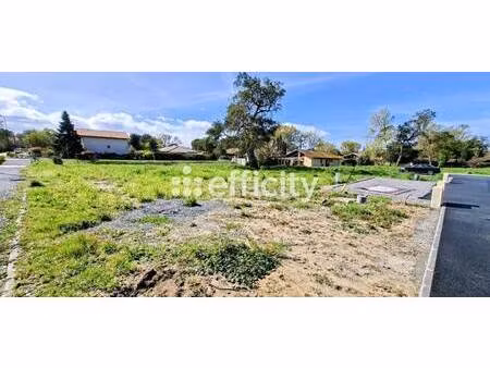 terrain constructible viabilisé à vendre