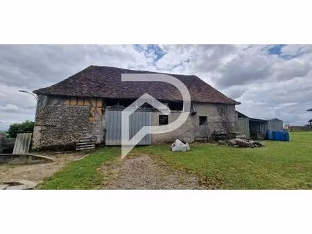 stephane plaza immobilier