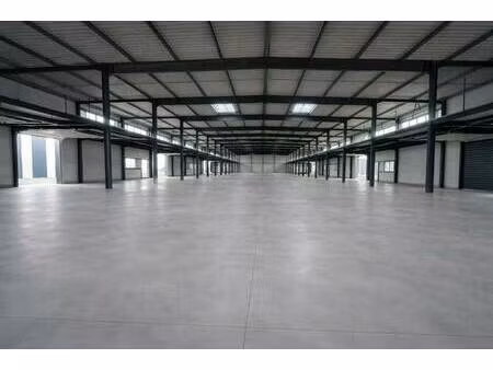 local d'activités à louer