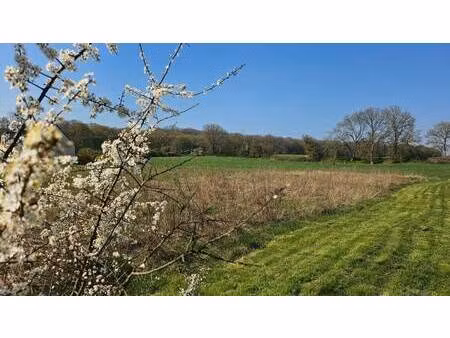 terrain constructible à vendre