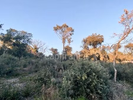 terrain constructible à vendre