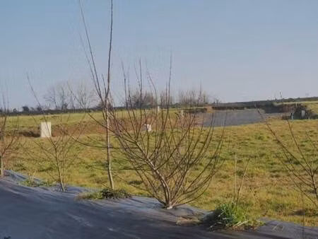 terrain constructible viabilisé à vendre