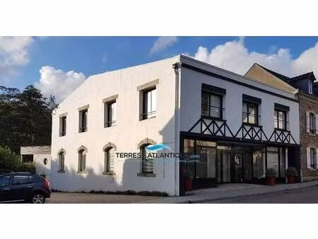 immeuble à vendre
