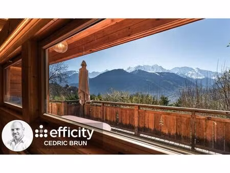 efficity cedric brun