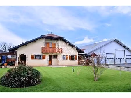 planifique immobilier