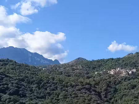 vente appartement 5 pièces 75.76 m² à aregno (20220)  399 000 €