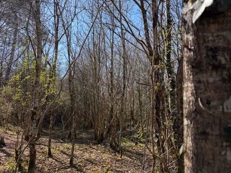 chateauneuf - terrain boise de plus de 2 800 m2