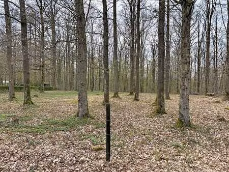 terrain à bâtir de +/- 15 ares à beauraing