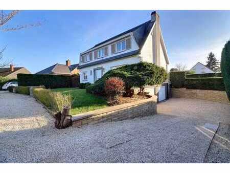 centre - delhaize - terrain sud - nouveaux châssis