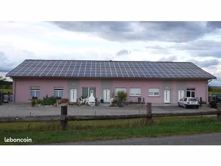 nambsheim grand f2  rez de jardin  terrasse 