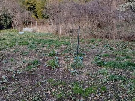 terrain agricole de 400 métres carrés disponible