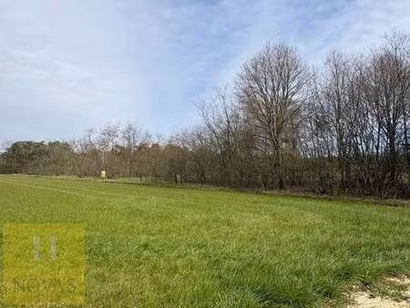 terrain à vendre à lommel € 35.000 (lmosm) - immo novas | zimmo