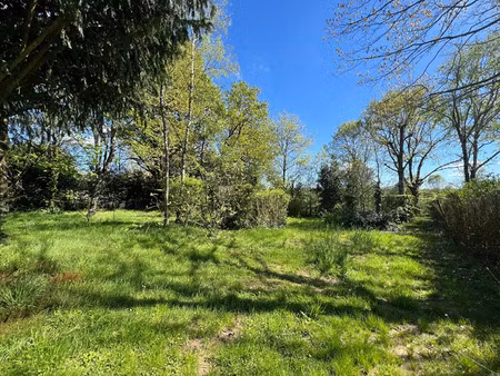 vente terrain à aizenay (85190) : à vendre / 1043m² aizenay