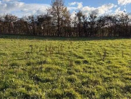 vente terrain à brissarthe (49330) : à vendre / brissarthe