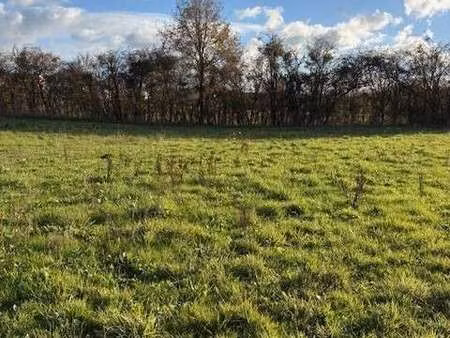 vente terrain à écouflant (49000) : à vendre / écouflant