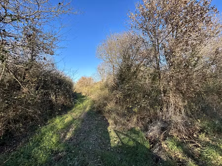 vente terrain aux sables-d'olonne (85100) : à vendre / les sables-d'olonne