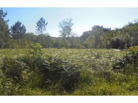 vente terrain 1800 m² à château-l'evêque (24460)  35 000 €