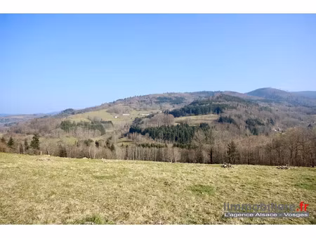 vente terrain 1639 m² à la croix-aux-mines (88520)  37 000 €