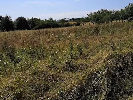 vente terrain 1300 m² à négrondes (24460)  20 050 €