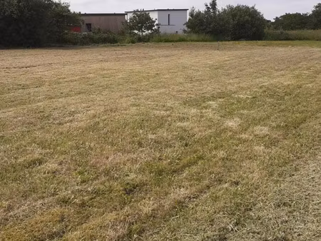 vente terrain à saint-vougay (29440) : à vendre / 780m² saint-vougay