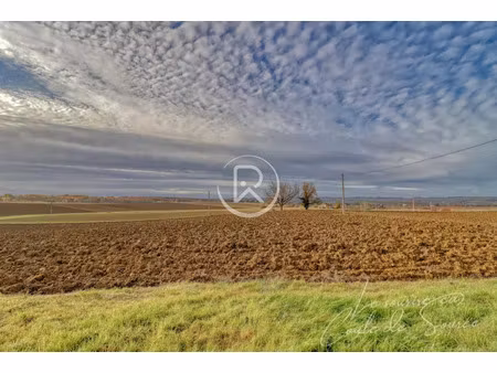 vente terrain 4000 m² à beaumont-de-lomagne (82500)  45 000 €