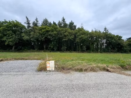 vente terrain à ploërmel (56800) : à vendre / 651m² ploërmel
