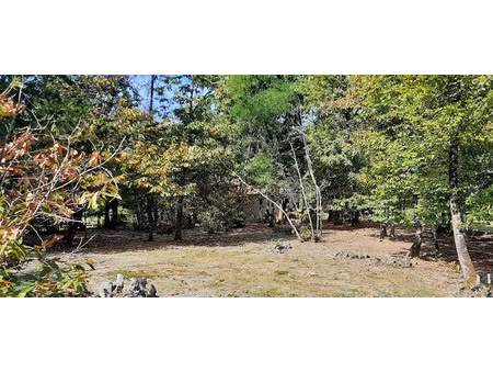 vente terrain 1567 m² à trélissac (24750)  60 000 €